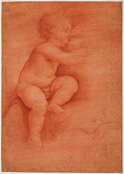 Study of Putto (Baby Jesus) by Cesare da Sesto